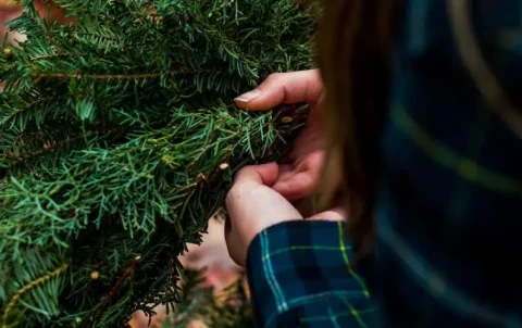 lee-campbell-Bn6Zncg-5U8-unsplash-q4l6h11r0nv69vai945h62ckqyadsomat5u7bibj48